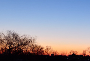 a sky at sunset, transitioning from blue at the top to orange at the bottom, with silhouettes of trees and houses